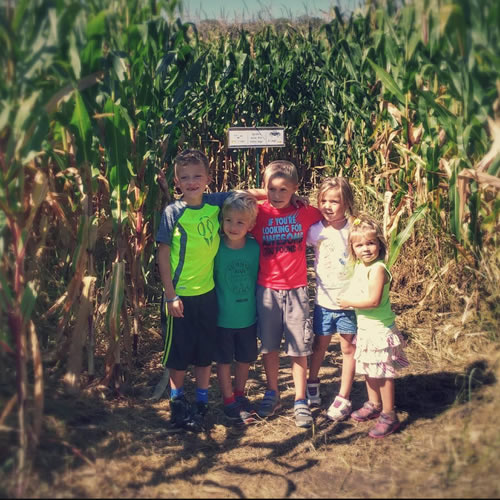 Enchanted Valley Acres, Corn Maze, Fall Fun, Family