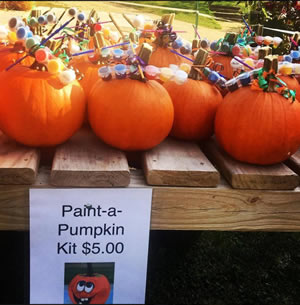 Enchanted Valley Acres, Corn Maze, Fall Fun, Family,