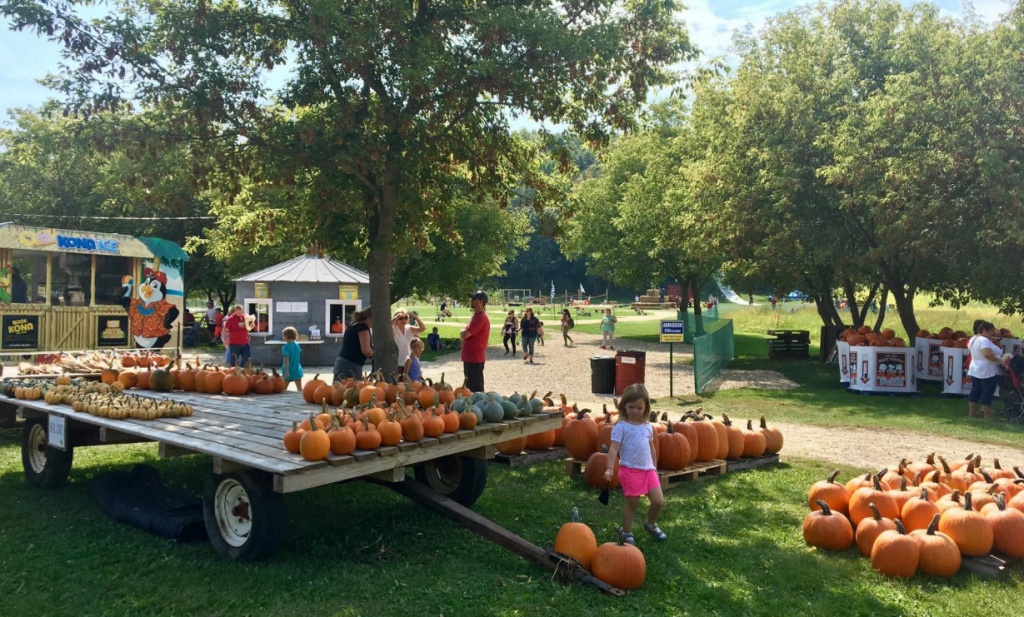 Pumpkins Enchanted Valley Acres