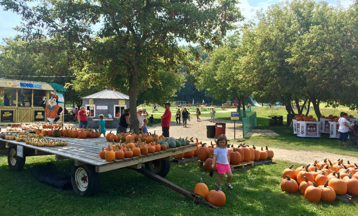 Pumpkins Enchanted Valley Acres