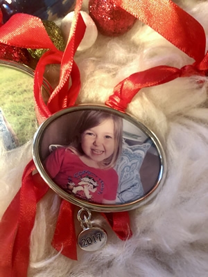 Enchanted Valley Acres - Fun Photo Ornament