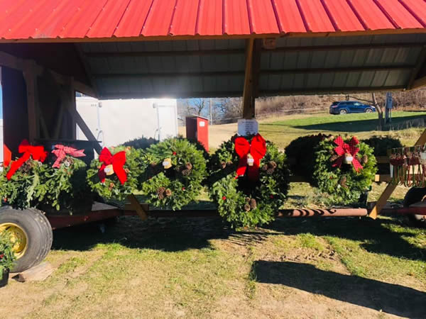 Christmas Wreaths for sale at Enchanted Valley Acres