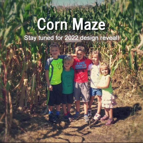 Corn mazes at Enchanted Valley Acres