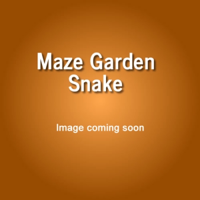 No Image Maze Garden Snake