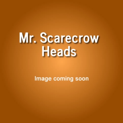 No Image Mr Scarecrow Heads