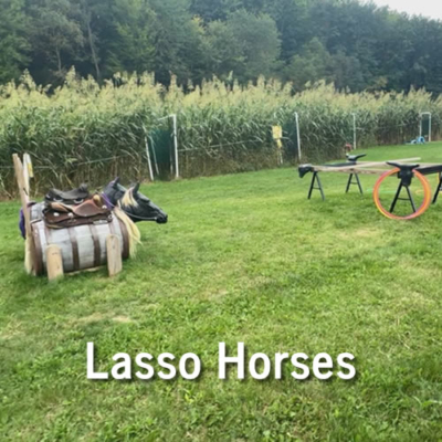 Lasso Horses